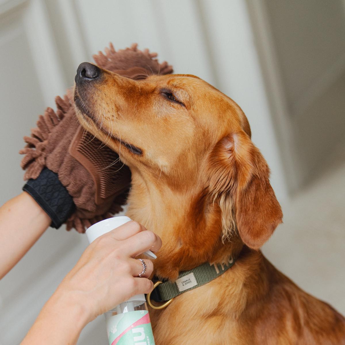 Gant Rafraîchissant pour Animaux